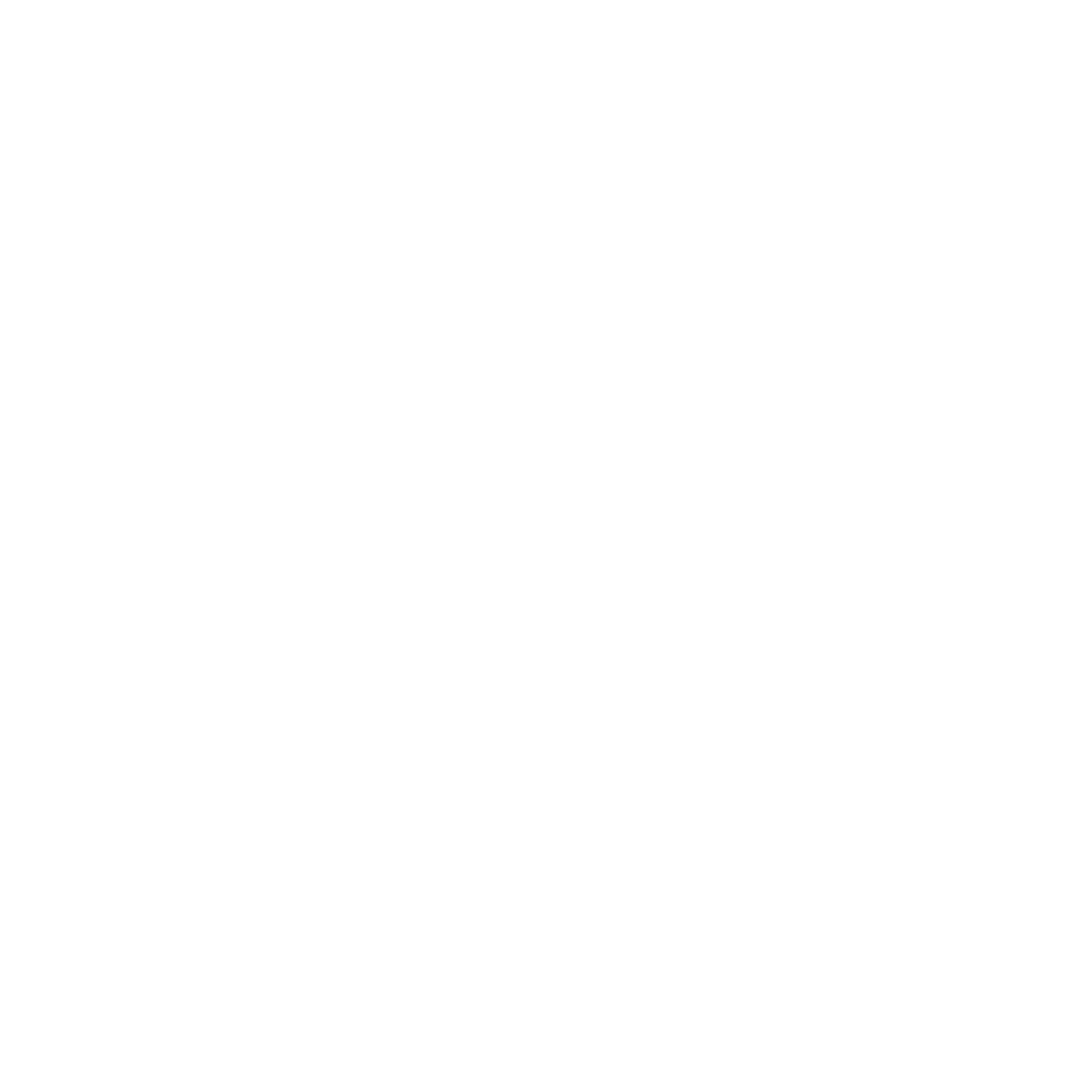 Bank-Level Data Security