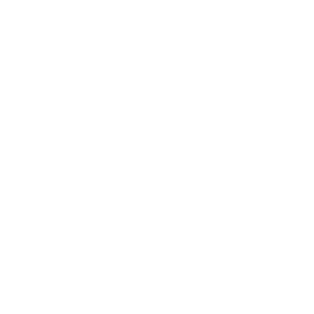 Mission
