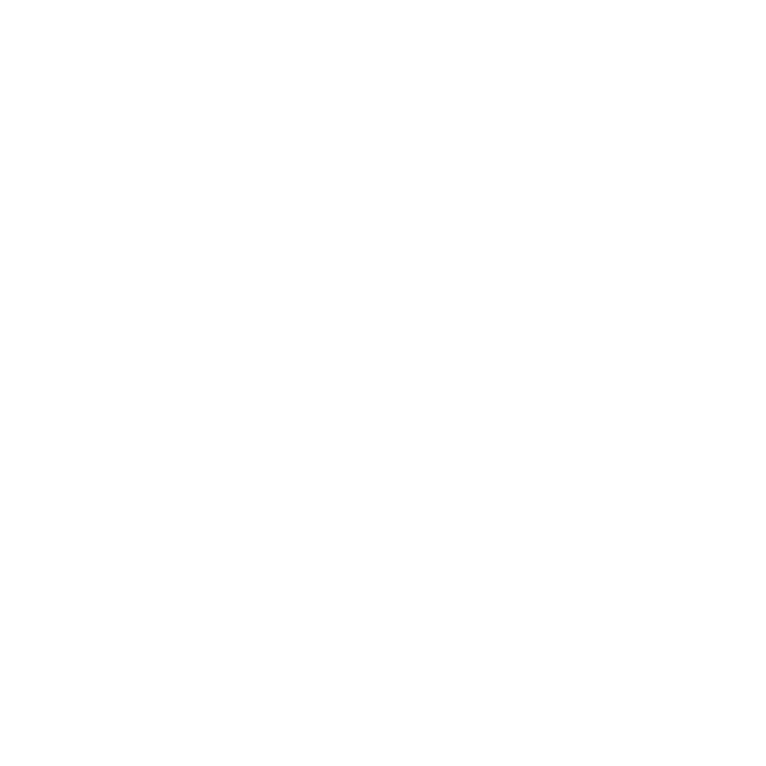 Vision